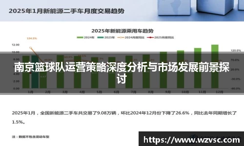 南京篮球队运营策略深度分析与市场发展前景探讨
